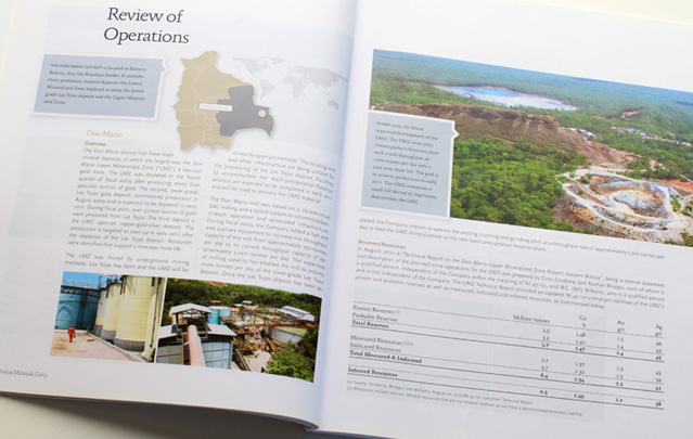 Sino Presentaion Slide